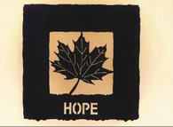 12 x 12  inch Black 16 gauge steel powder coated and will not rust, great for indoor or outdoor decor.