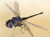 3D Dragonfly   # 3D 1