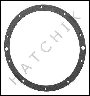 O1462 HAYWARD SPX0506D LIGHT GASKET **** Order Purchase Qty for 1% ****