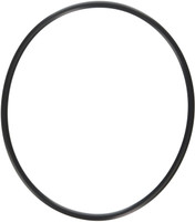O1501 HAYWARD SPX0704F COVER O-RING