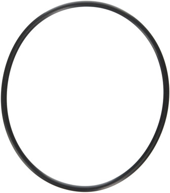 O1501 HAYWARD SPX0704F COVER O-RING