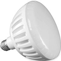O4002 J & J PURE WHITE LED POOL BULB = 500W 120V
W/LENS GASKET LPL-PRHO-CW-120