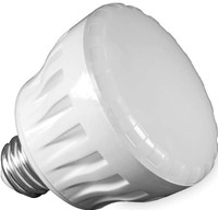 O4018 J & J PURE WHITE LED SPA BULB=100W 12V
W/LENS GASKET  LPL-M2-CW-12