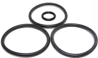 Z7019 ANTHONY PISTON O-RING SET 2