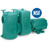 H1142E COMMERCIAL PUMP - MARLOW 5HP EPOXY COATED THREE PHASE #3B28EC-C2