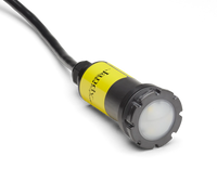 O1553 SAVI-MINI MELODY-P SERIES W/150FT CORD 12V 6W COLOR (1.5IN X 4.25IN)