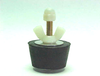 V5314 PLUG & PURGE #2  3/4IN FITTING