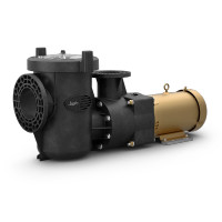 H1311 JANDY JCP053ATS 7-1/2HP 3PH WITH-OUT STRAINER
230V ODP