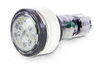 O1849 PENTAIR MICROBRITE COLOR LED W/150 CORD 12V 14W #620426