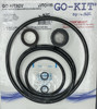 K6492 ALADDIN GO-KIT92V PENTAIR INTELLIFLO XF SALT OZONE
ANS WHISPERFLO XF