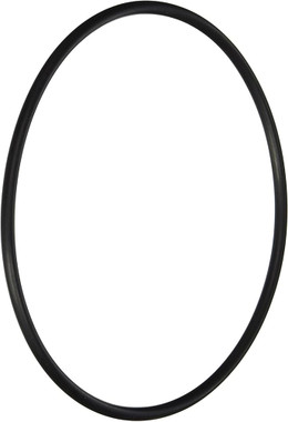 E1W542 LEAF CANISTER O-RING FOR W530 & W560