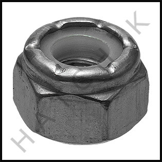 H3635 AMERICAN #580010 S.S. NUT 1/4-20 FOR TITAN FILTER