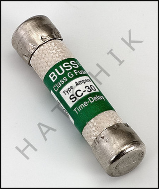 J3219 COATES 29018930 FUSE 30AMP, 480V FOR CE
