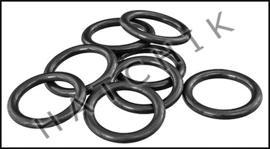 J7257 STA-RITE 460749 COIL/TUBESHEET SEALING O-RING KIT MODELS 250NA,250LP