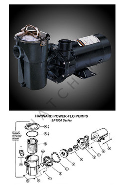 K3976 HAYWARD SP1592TL 1 HP MATRIX POWER-FLO PMP - SIDE DISCHARGE