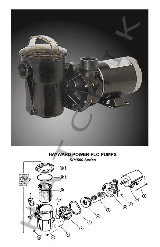 hayward sp1580 pump