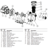 K4148 PENTAIR 6020018 UNION ADAPT O-RING SUPERFLO (2-NEEDED)