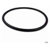 K4467 HAYWARD SPX4000T O RING FOR SEAL PLATE NORTH STAR