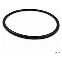K4467 HAYWARD SPX4000T O RING FOR SEAL PLATE NORTH STAR