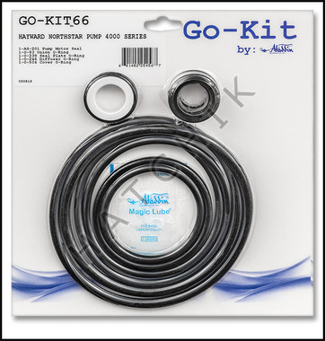 K6266 ALADDIN GO-KIT66 HAYWARD NORTHSTAR PUMP 4000 SERIES PRIOR TO 2003
