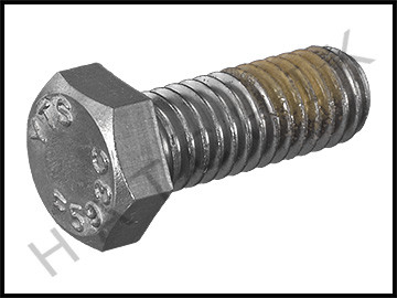 K6321 HAYWARD SPX3200Z5 MOTOR BOLT