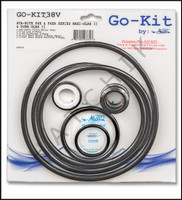 K6438 ALADDIN GO-KIT38V STA-RITE P4E P4EA,MAXGLAS/DURAGLAS II SALT/OZONE