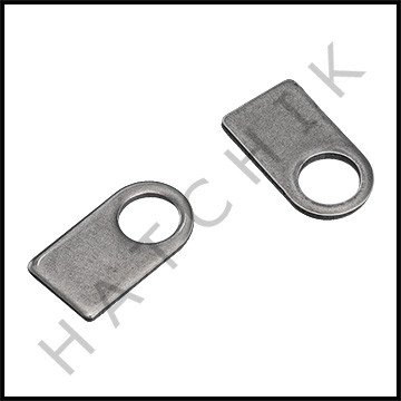 L1451 HAYWARD SPX1084D2 SECURING TABS SET OF 2 OBS