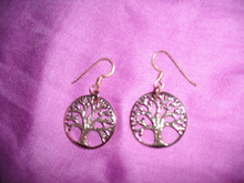 Tree of Life -- Large