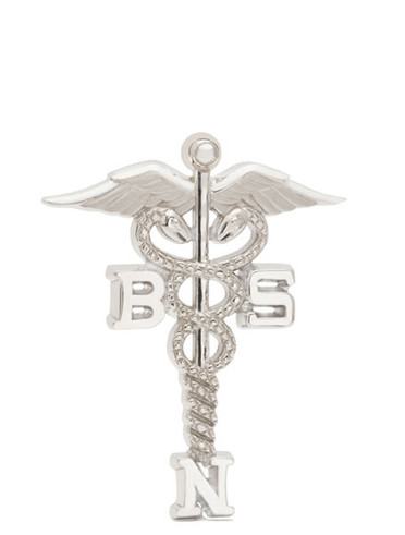 Bachelor of Science Nursing Award