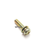 Insulator Screw (G2D) (3008)
