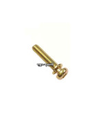 Ignition Coil Mount Screw G2D (3061)