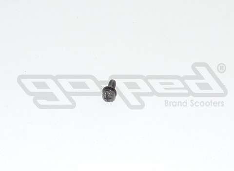 Starter Mount Screw G23LH(4076)