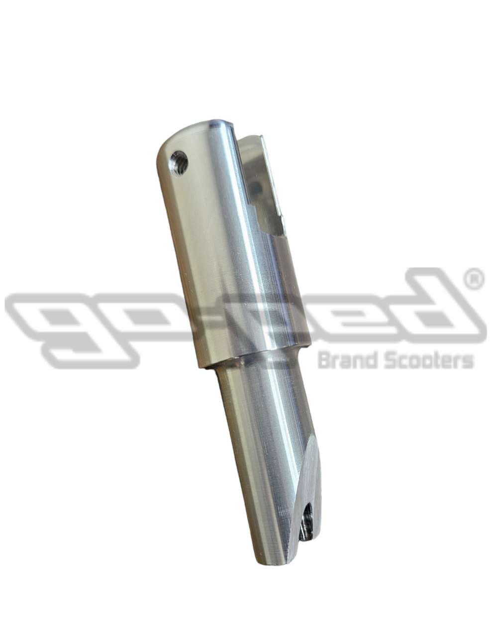 Untitled_design_-_2024-08-