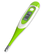 Polygreen Clinical Electronic Thermometer