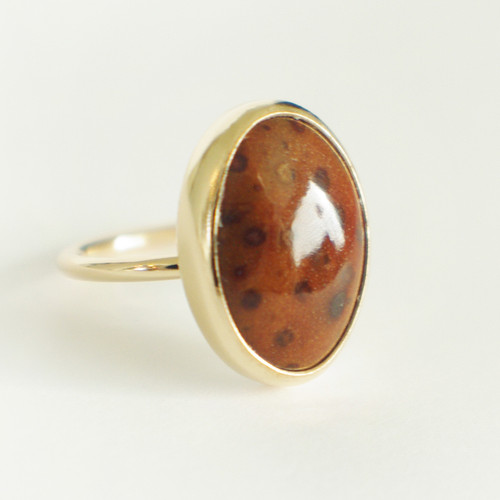 Petrified Palm Size 5.5-8