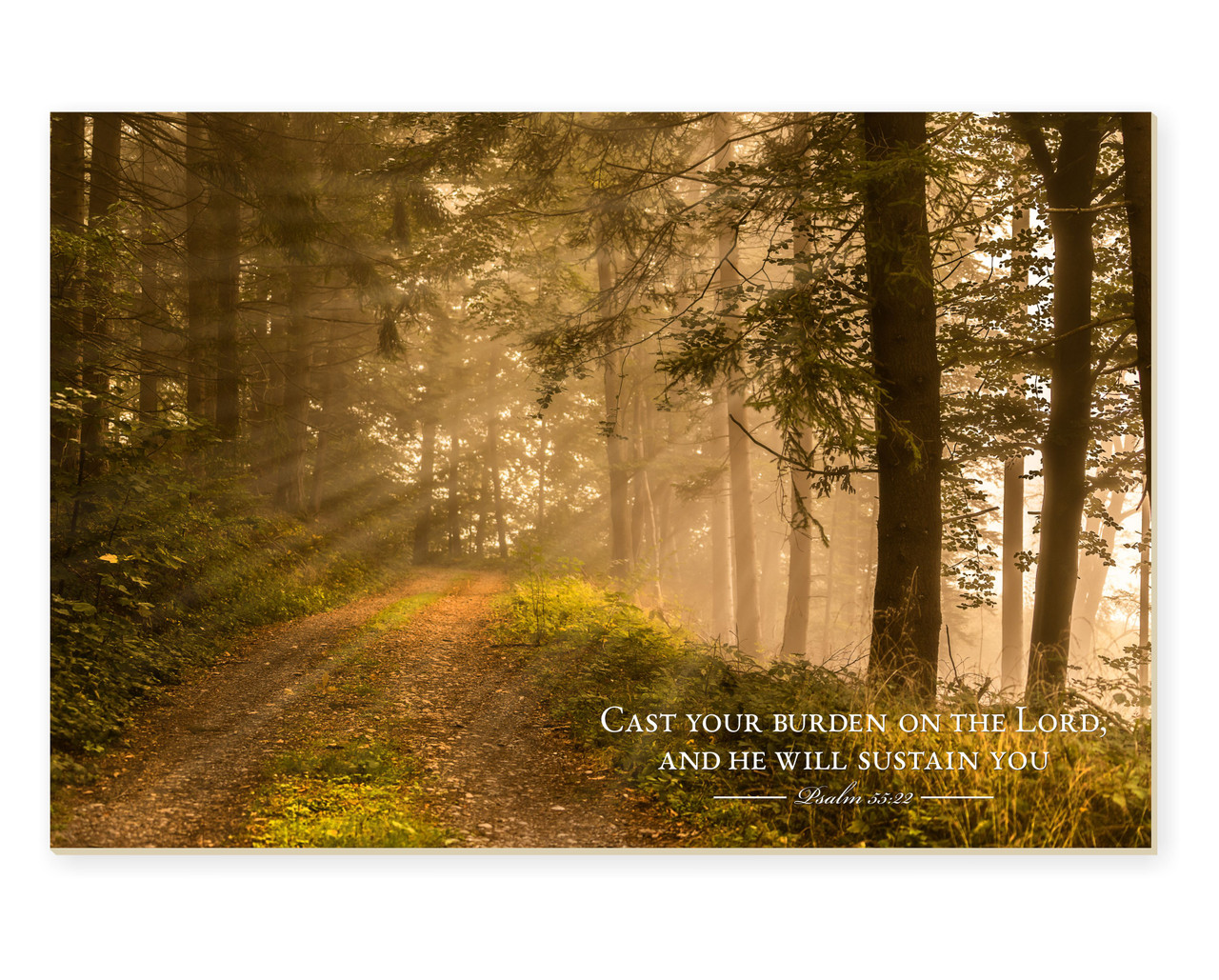 Whoever Trusts In The Lord Is Kept Safe TimberArt Wood Photo Print 12x18