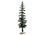 64112 - Blue Spruce Tree, Large - Lemax Trees