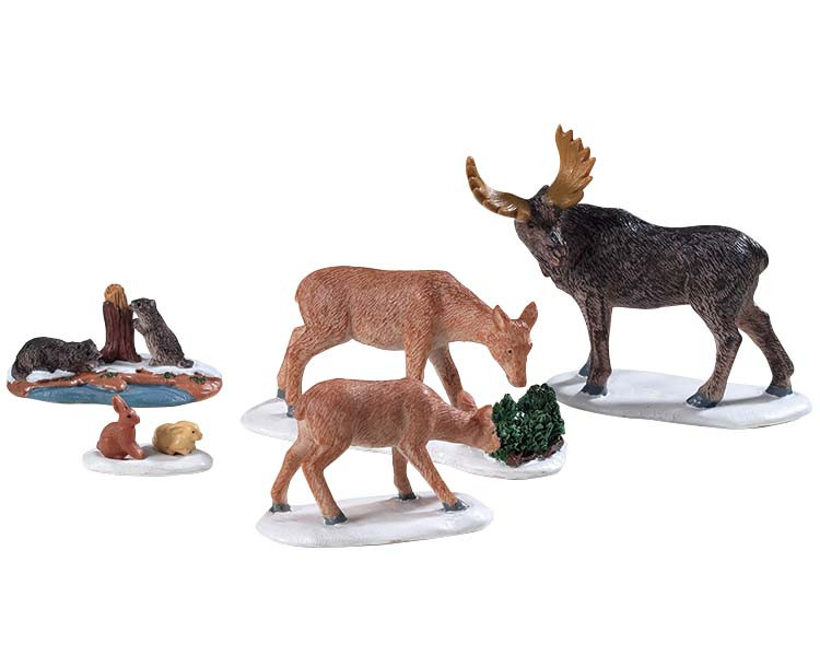 wild animal set