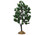 94538 - Alder Tree - Lemax Trees