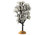 94540 - White Hawthorn Tree - Lemax Trees