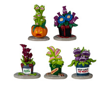 44314 - Hungry Houseplant Horror, Set of 5 - Lemax Spooky Town Accessories