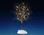 54523 - Butternut Tree, Clear Light, Battery-Operated (4.5-Volt) - Lemax Trees