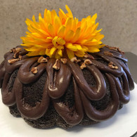 Indulgent Chocolate Pecan  Bundt Cake