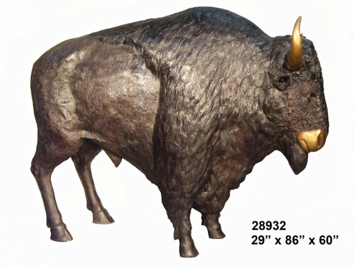 Bison