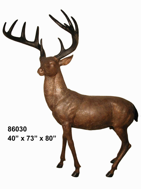 American Deer - Buck
