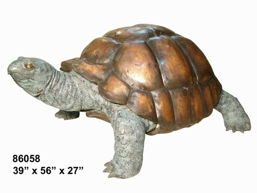 Tortoise (Medium Size)