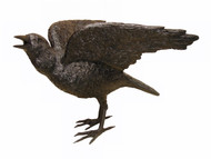 Black Raven - E