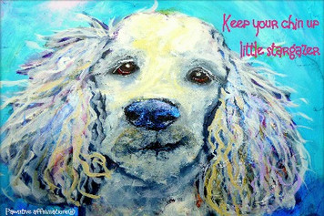 Poodle- Keep your chin up...
