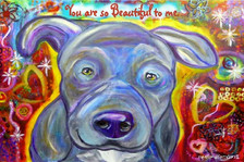 Grey Pitbull-You are so beautiful to me