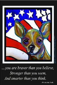 Hello Freedom Chihuahua-you are braver than you believe....